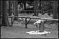 2026_08_15_10_28_01-border.jpg