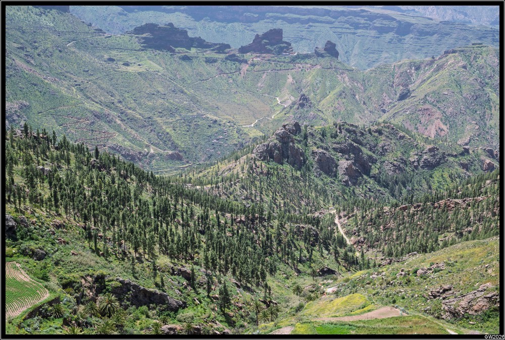 2026_04_16_13_37_01-2-border.jpg