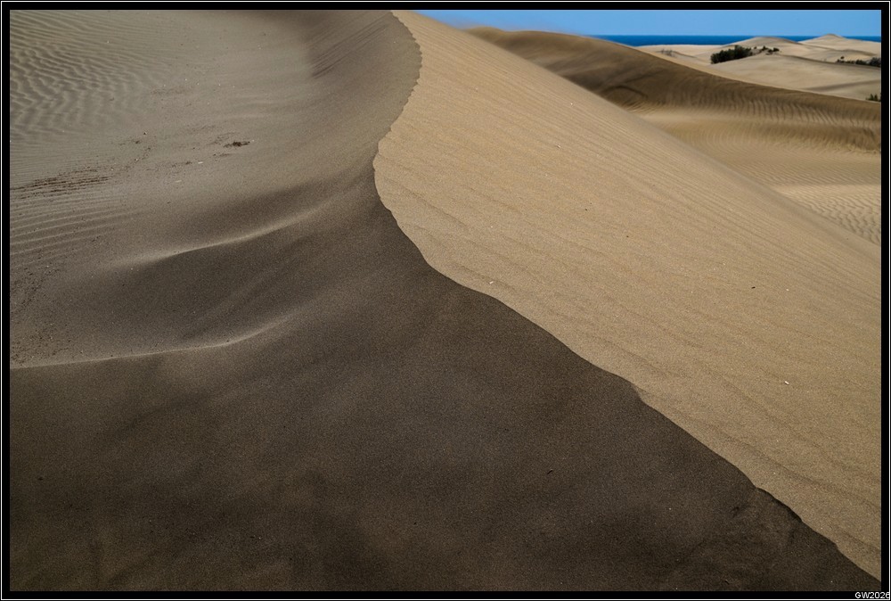 2026_04_20_16_40_01-2-border.jpg