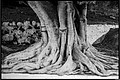 2026_04_13_10_42_01-border.jpg