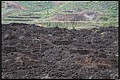 2026_04_15_10_37_01-border.jpg