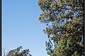 2026_04_16_10_51_01-border.jpg