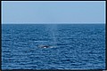 2026_04_20_11_49_01-2-border.jpg