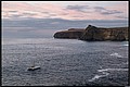 2026_04_22_20_41_01-border.jpg