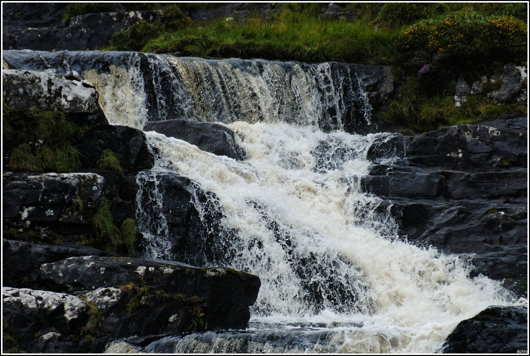 2008_08_26_12_21 _01_DxO2_raw-border.jpg (272 KB)